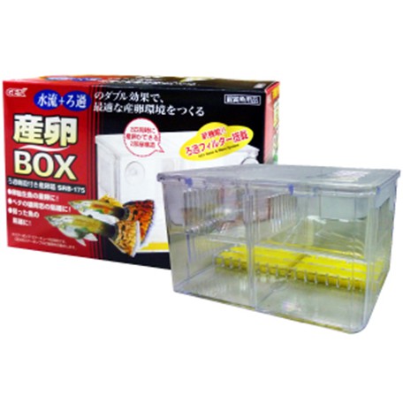 日本GEX五味 孔雀產卵盒 S/W 產卵 繁殖 隔離盒 可接空氣馬達 水妖精式 繁殖 Q-022