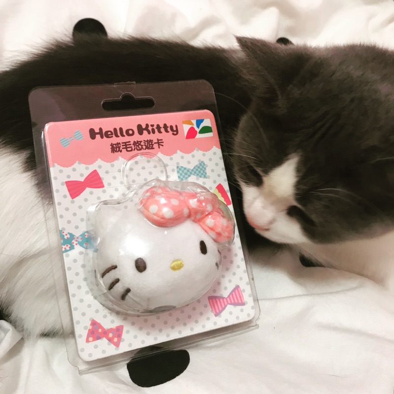 Hello Kitty 絨毛造型悠遊卡 三麗鷗 無嘴貓 凱蒂貓 賠本出清 最後一個