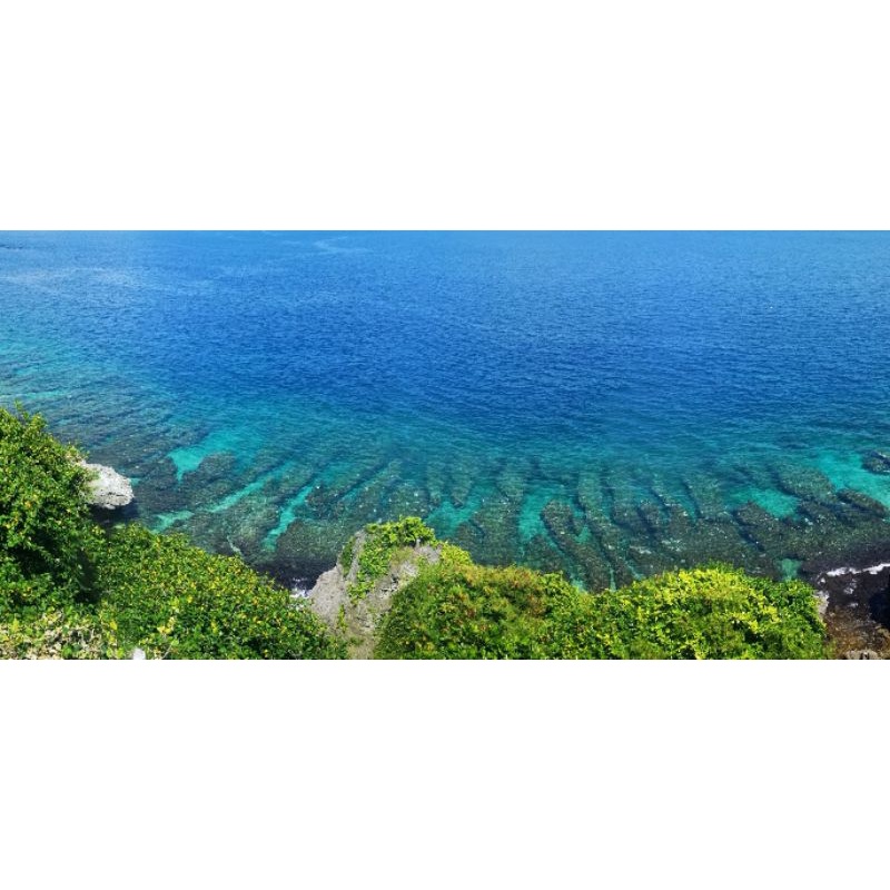 小琉球一日遊，一人成行，機車、船票、浮潛， Liuqiu day tour package snorkeling