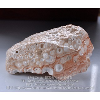 《※精品水晶※》能量至寶 - 滿滿舍利的龍宮舍利原礦 R210701