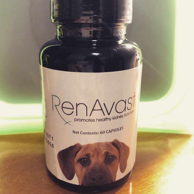 胺腎 AminAvast / RenAvast 60顆 中/大型犬 狗 腎衰竭 腎臟 保健