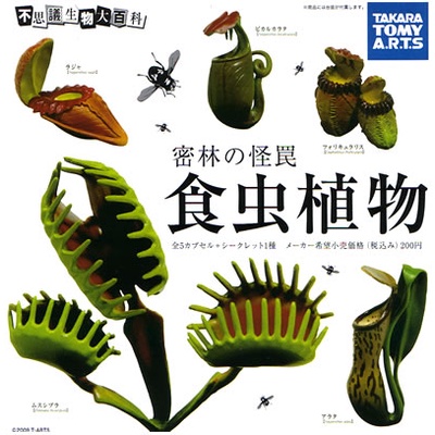 T-ARTS 不思議生物大百科  密林の怪罠 食蟲植物 單售 拉賈豬籠草