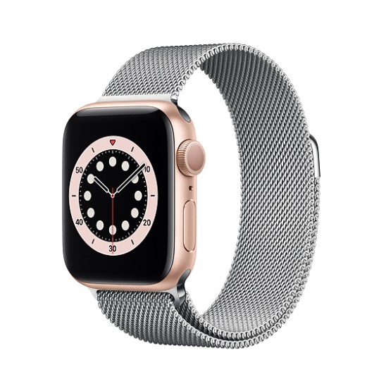 Apple Watch  6  40mm搭配不鏽鋼米蘭式錶環