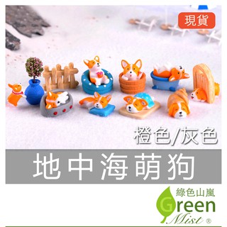 地中海萌狗 動物擺飾 柯基 小狗 Zakka 多肉植物盆栽裝飾 微景觀 拍攝道具 辦公室療癒小物【綠色山嵐】