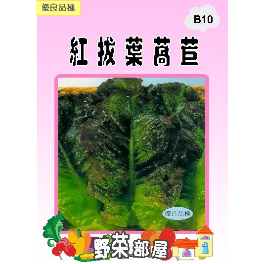 【萌田種子~蔬菜種子】B10日本紅拔葉萵苣種子18公克 , 品質細 , 烤肉店的最愛 ~