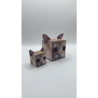 paper cat paper kitty 紙製貓咪 meme貓咪 方塊貓 生日禮物 交換禮物