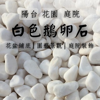 【免運現貨】天然特白/深灰色鵝卵石 庭院花園 陽臺 園藝裝飾