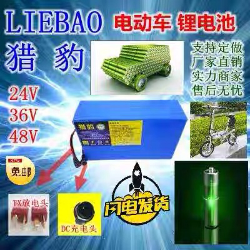 鋰電池 電動車 訂制 12v 24v 36v 48v  10A 20a