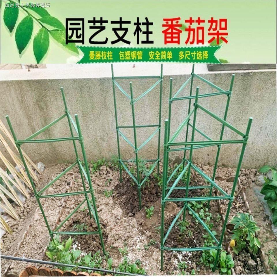 0513黃瓜架西紅柿番茄攀爬支架爬藤植物支架茄子架豆角爬藤架支柱園藝 蝦皮購物