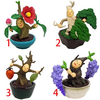 小樹安每 近代出版社 老爺柿 金豆柑培育法 蝦皮購物