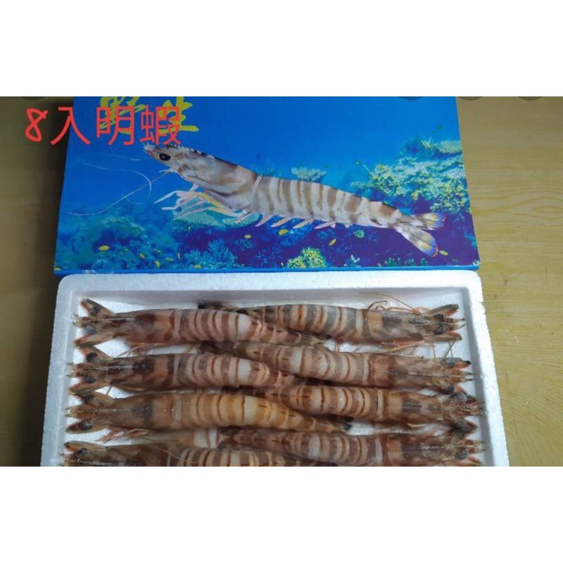 【鮮-最省】野生超大 海大蝦 明蝦 5尾 6尾 8尾10尾 蝦子