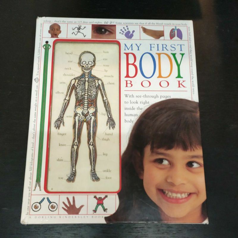 二手童書~英文繪本 my first body book