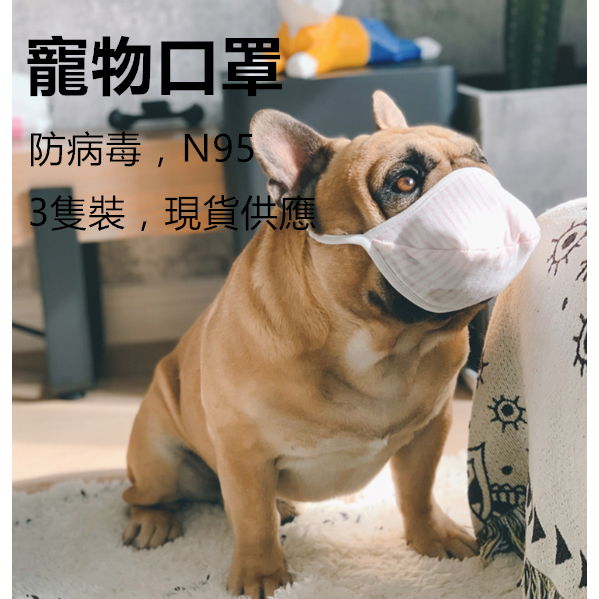 現貨 防霧霾寵物口罩防pm2 5狗狗口罩防疫情寵物口罩三層3隻裝寵物外出口罩法鬥口罩可水洗寵物專用口罩 蝦皮購物