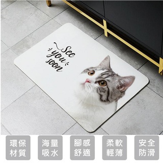 【特價優惠】臺灣專利 絨面乳膠矽藻土吸水地墊 60x39cm 軟式珪藻土吸水地墊 升級輕量版 現貨
