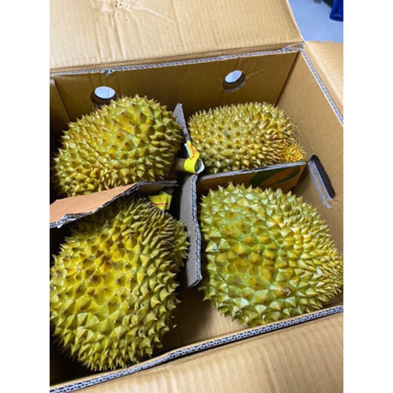 新鮮泰國，越南榴槤/一箱3-4顆16-17斤(含箱重）2590