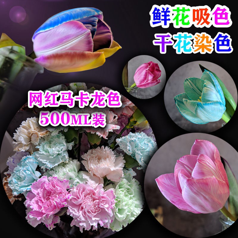 鮮花染色的價格推薦 21年6月 比價比個夠biggo