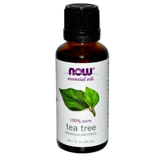 Now Foods,100%純 茶樹精油Essential Oils,Tea Tree,30 ml