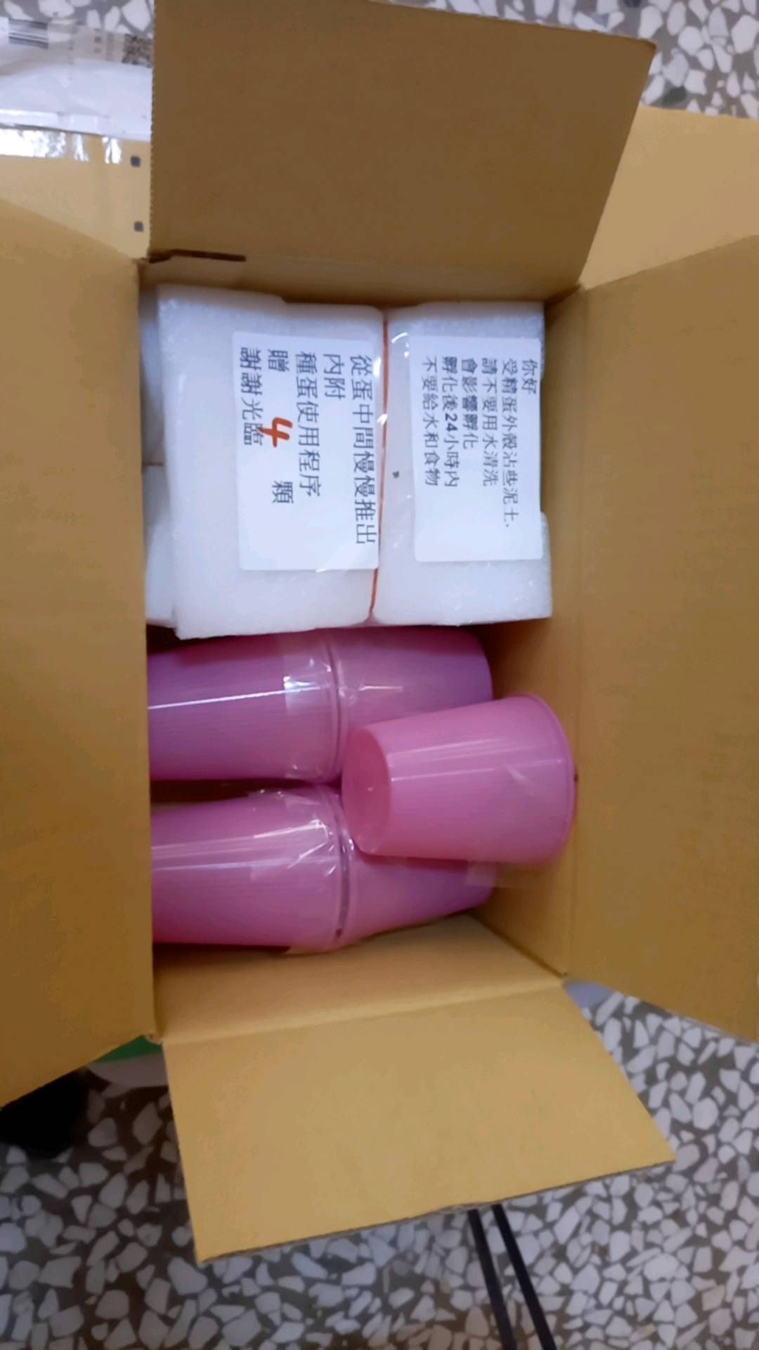 各式種蛋買賣交流 種蛋 受精蛋 波蘭雞 渣男雞 長尾雞 白鳳雞 鳳梨雞 九斤黃雞 蘆丁雞 飼料 蝦皮購物