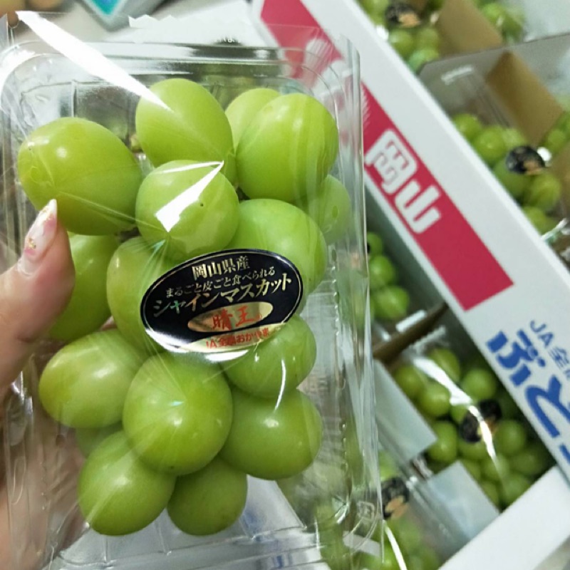 日本🇯🇵岡山縣晴王麝香葡萄夢幻品種| 蝦皮購物