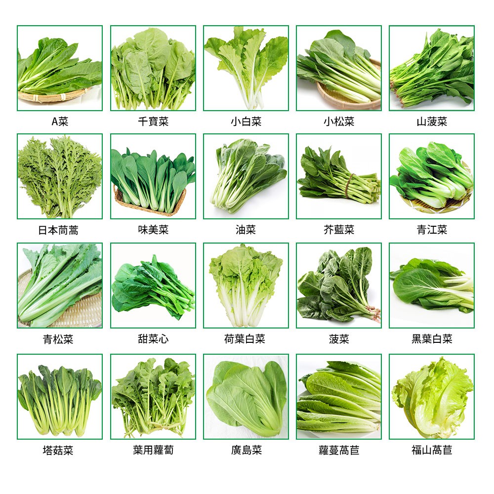 100 天然新鮮有機蔬菜箱蔬菜葉菜類北農營養午餐供應商無毒無藥無化肥 蝦皮購物