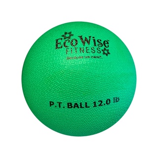 美國【EcoWise】高級重力球/藥球/物理治療球- 12磅(5.4kg)