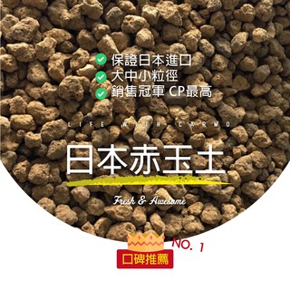日本赤玉土被評為最佳10 21 Beecost