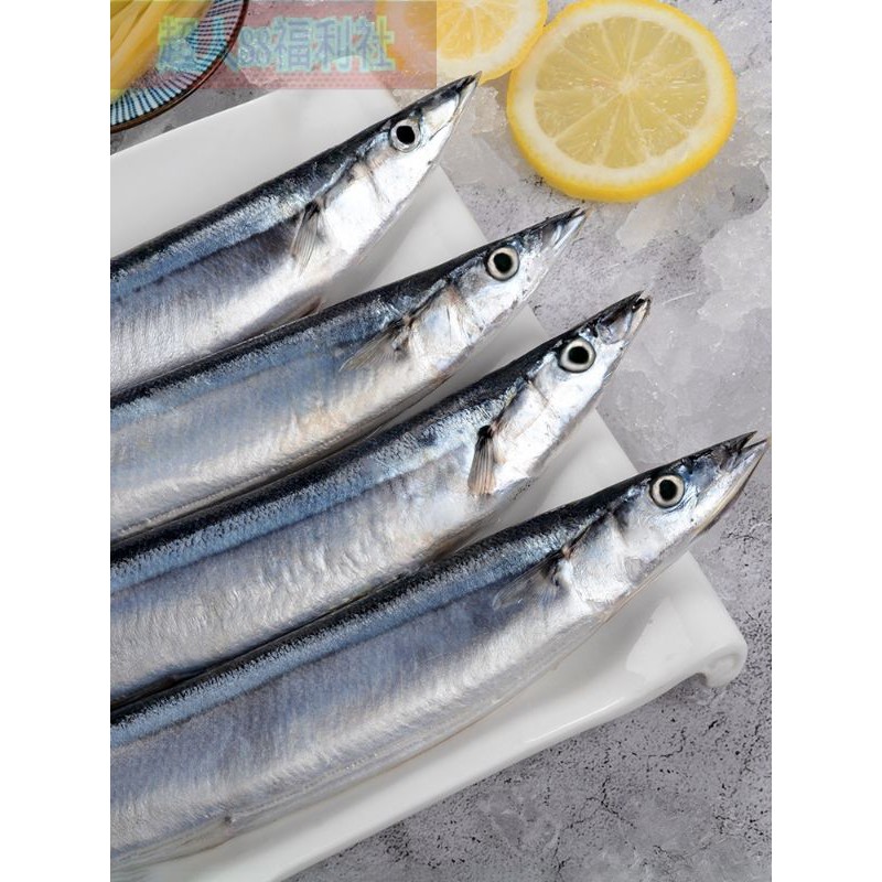 秋刀魚 特a級秋刀魚 1箱10公斤 1號秋刀魚 1箱10公斤免運費特a級秋刀魚特級秋刀魚海魚鮮魚烤魚烤肉燒烤海鮮 蝦皮購物