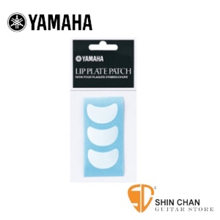 小新樂器館 | YAMAHA 長笛吹口護片 FLLP2【YAMAHA品牌/日本廠/管樂器保養品】