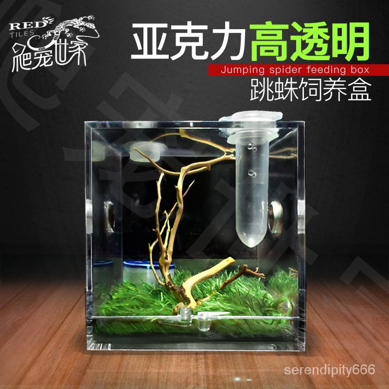 昆蟲飼養箱 Ptt討論與高評價網拍商品 21年8月 飛比價格