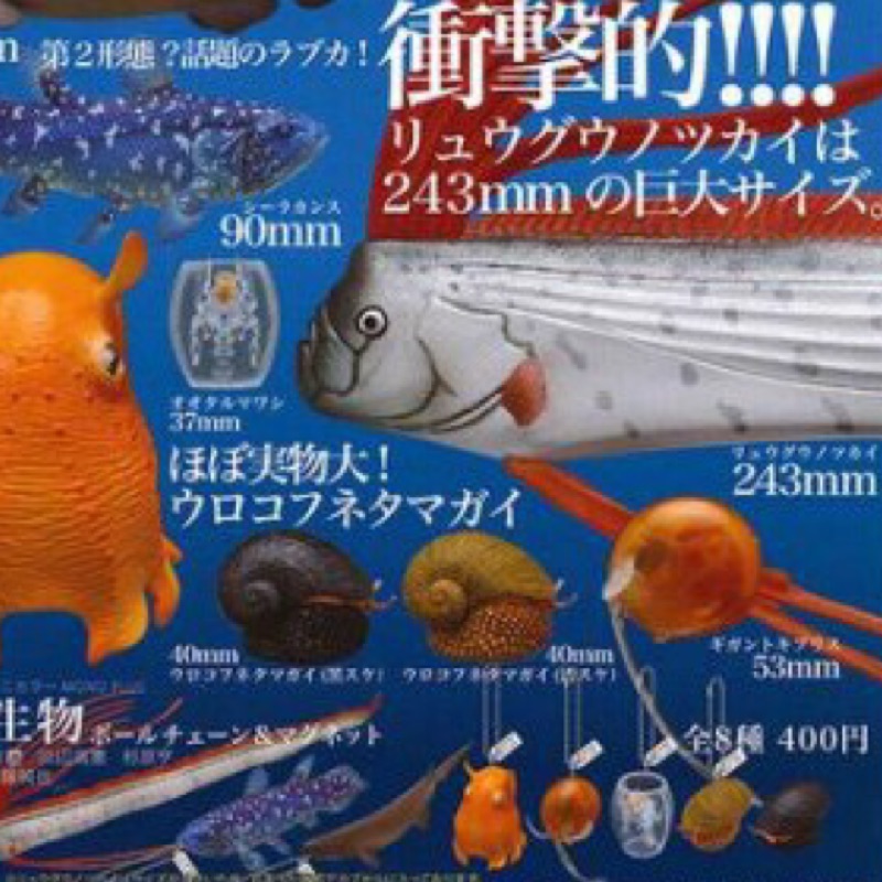 深海生物 ntc 圖鑑 皇帶魚 ikimon 擬真