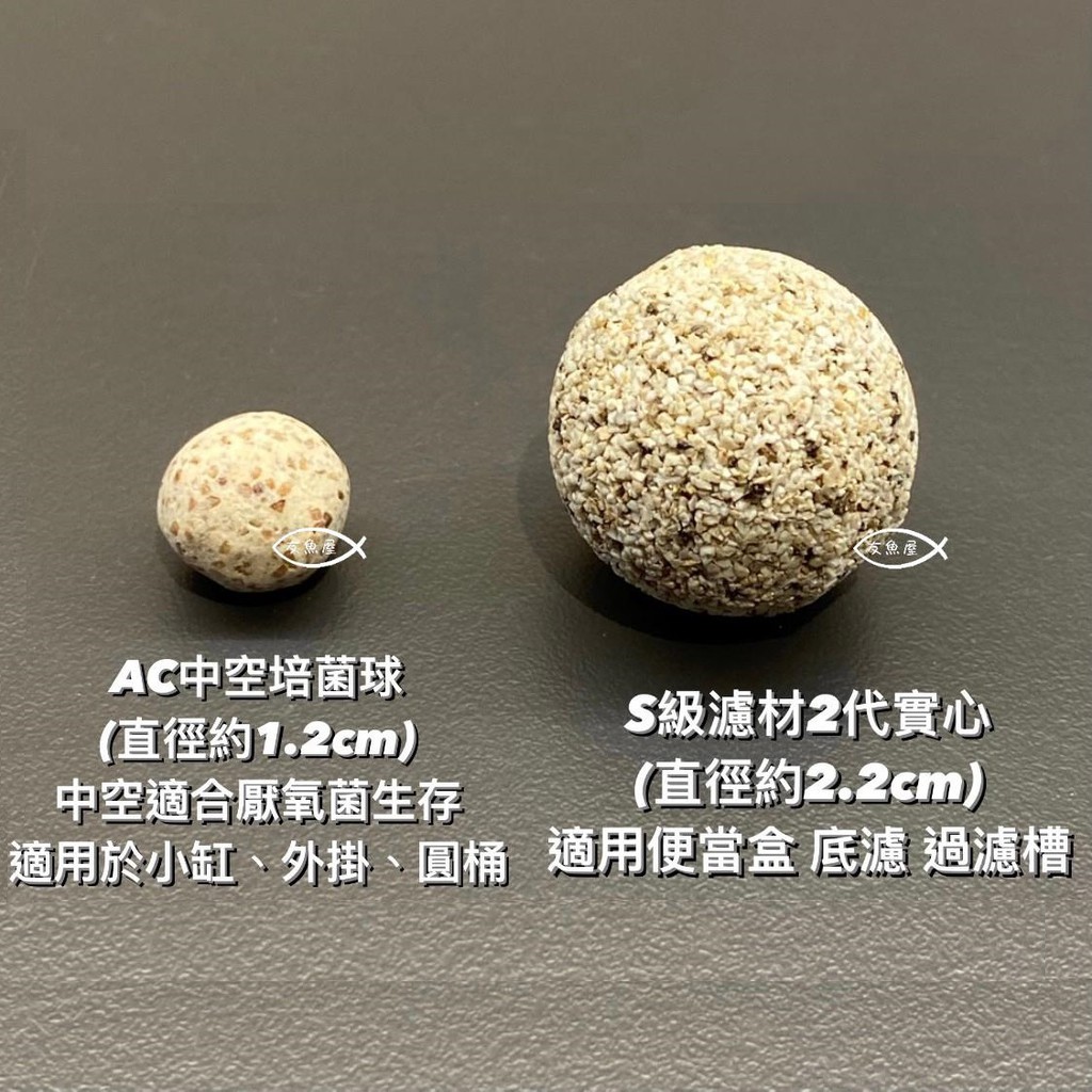 正版公司貨 Ac 中空培菌球陶瓷珠石英球濾材多孔隙陶瓷生物球 呼吸濾材100g 1kg S級濾材 蝦皮購物