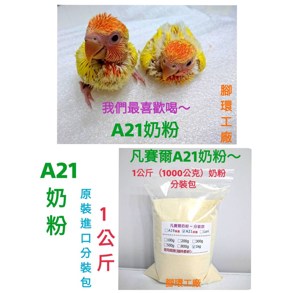 凡賽爾A21奶粉❤分裝包200G/300G/500G/800G/1KG❤ 小型鸚鵡、雀科幼雛鳥適用
