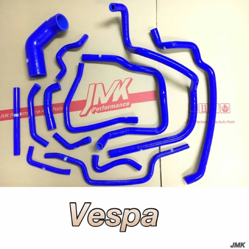 偉士牌 Vespa GT-300防爆矽膠水管+肥腸12件組
