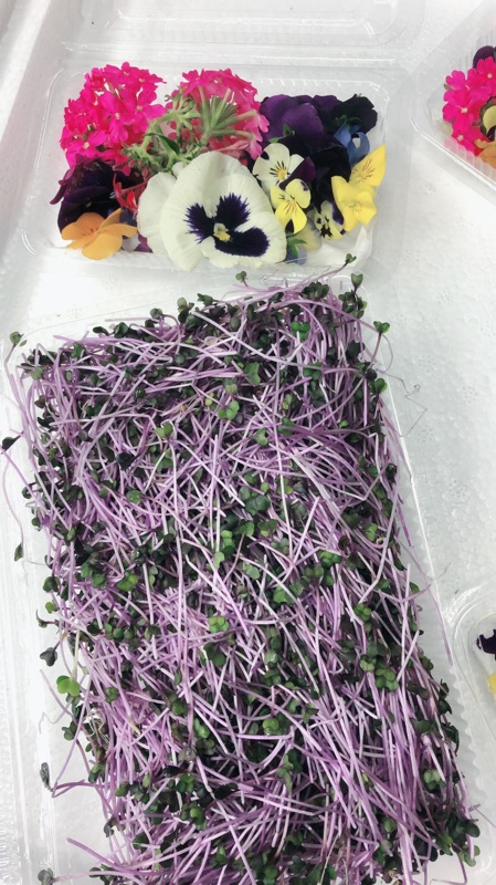 綜合食用花 新鮮 蝦皮購物