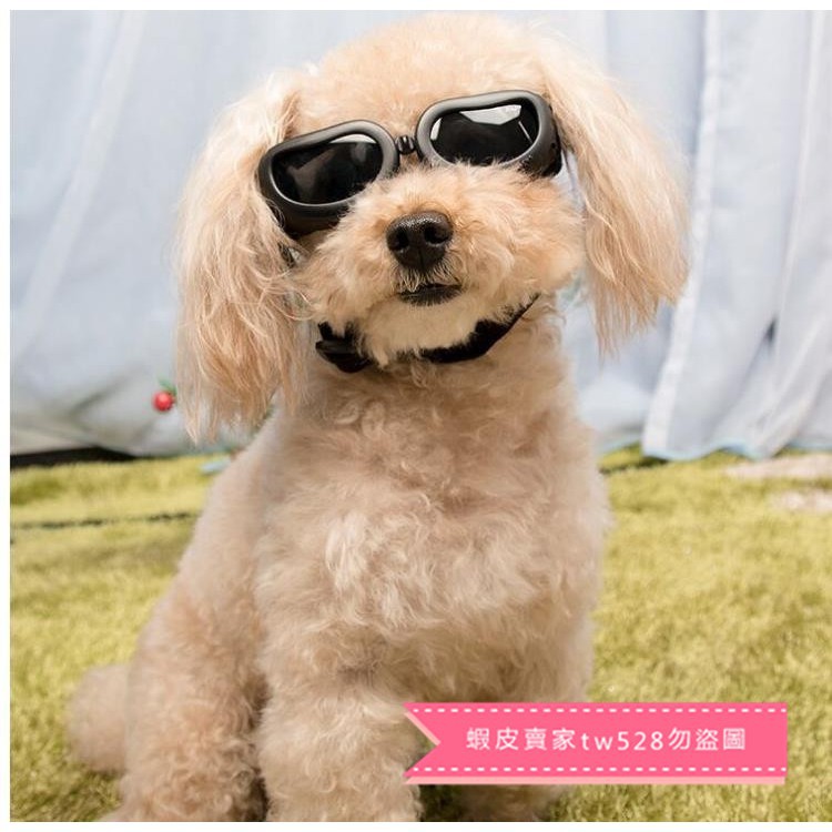 狗狗眼鏡寵物眼鏡狗眼鏡寵物太陽鏡擋風鏡墨鏡小型犬專用護目鏡狗狗裝扮飾品 蝦皮購物