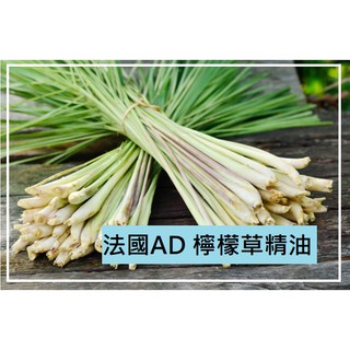 【露西皂材】法國AD 檸檬草精油 Lemongrass essential oil (檸檬香茅精油)