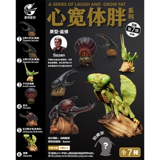 【那間模型】動物星球 心寬體胖 第七彈 螳螂 蚱蜢 長戟大兜蟲 獨角仙 甲蟲 昆蟲 模擬 模型 公仔