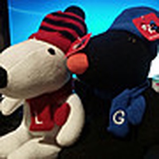 Gaspard et Lisa 玩偶 安全玩具標章布料：珍珠絨,帽子：針織料,坐姿約25公分,兩隻一起賣，有附防塵袋