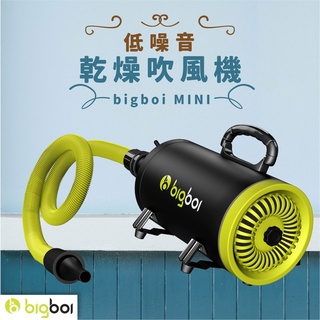 寵物吹風機 單馬達乾燥吹風機 bigboi MINI 寵物吹水機 PRO 低噪音 吹毛機 汽機車用 手持式 寵物 毛小孩