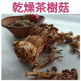 ❤財牛B❤茶樹菇120-280g/包.乾燥茶樹菇.燉炒茶菇.菇素湯