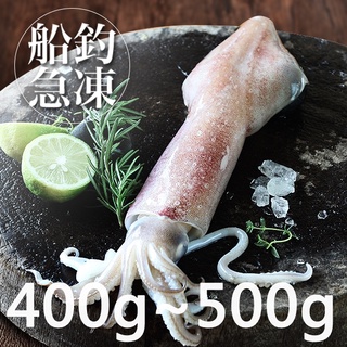 南海豐【船釣！活凍透抽】400-500g/尾 捕撈船上急凍透抽，海上先生嚴選，海鮮食材宅配