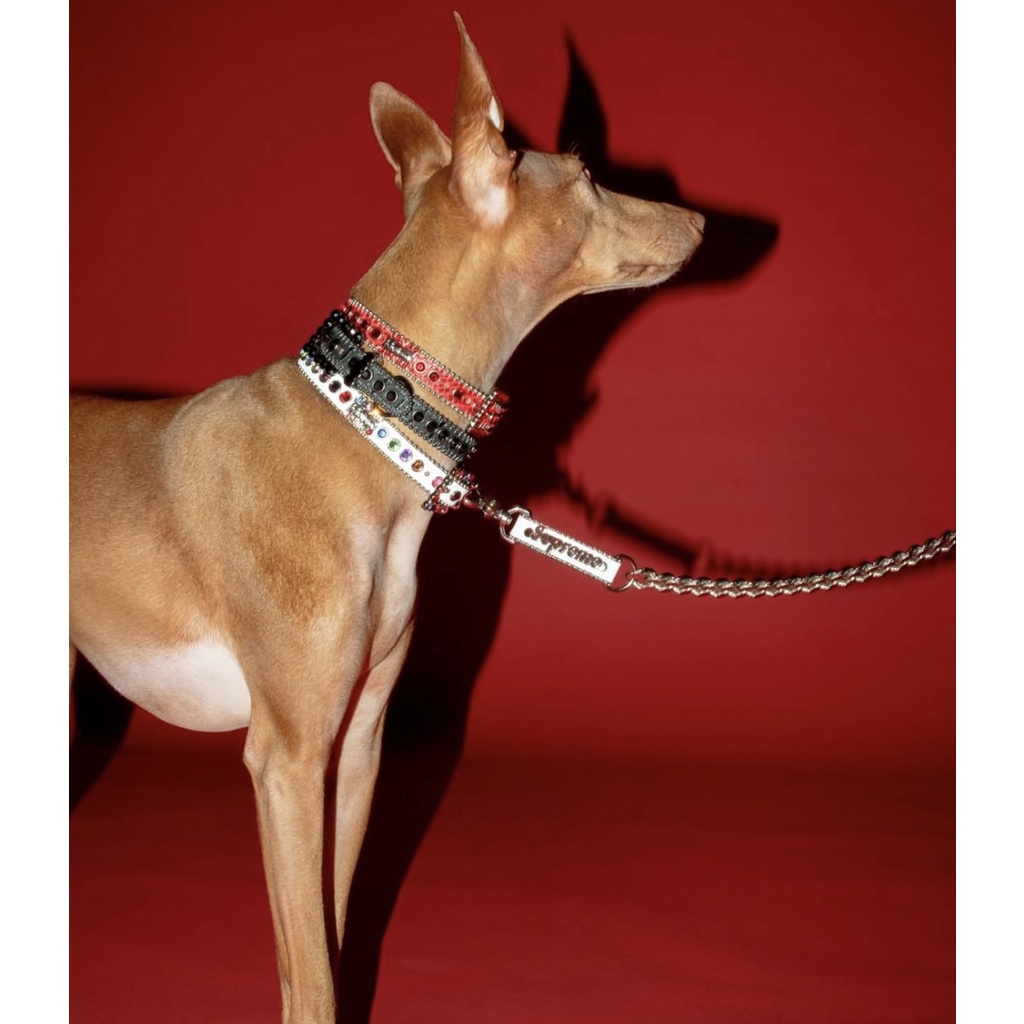 【紐約范特西】預購 SUPREME SS22 B.B. Simon Studded Dog Collar 狗項圈