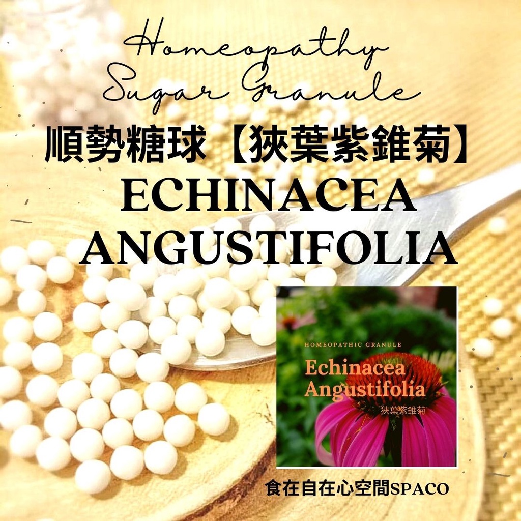 順勢糖球【狹葉紫錐菊●Echinacea Angustifolia】Homeopathic Granule 9克