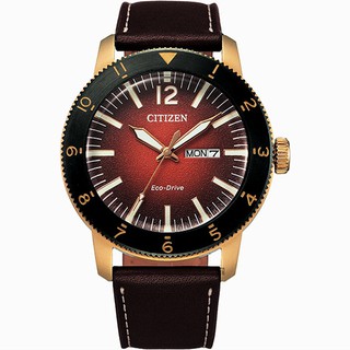 CITIZEN 星辰 光動能日曆手錶-43.5mm AW0079-13X