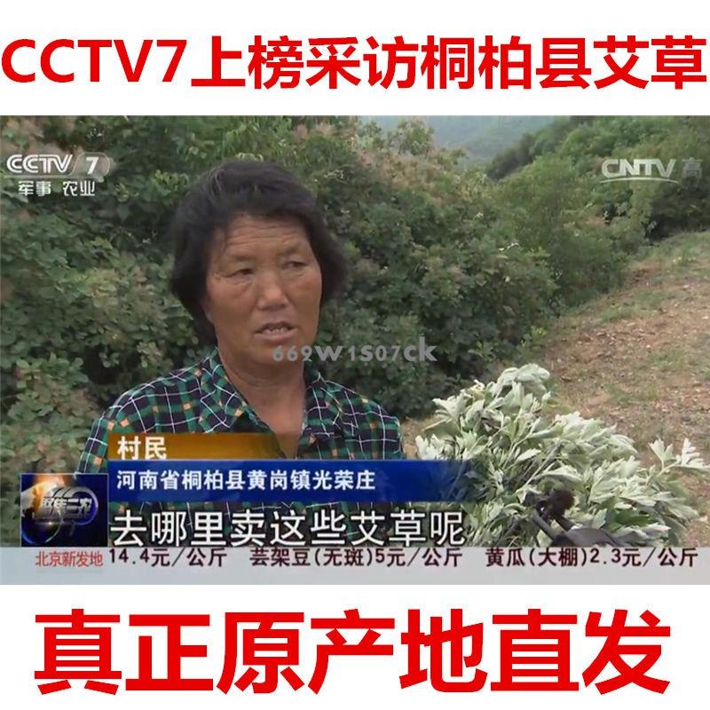 大木木生活館艾柱 艾貼 艾條 陳艾 野生艾葉 陳艾草艾葉草 干艾草葉泡腳包泡澡驅寒散濕艾條艾絨艾柱