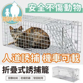 『免運』折疊式誘捕籠 24H出貨 臺灣現貨【矮胖老闆】誘捕籠 腳踏折疊式 誘貓籠 抓狗籠 捕貓籠 捕狗籠 TNR誘捕