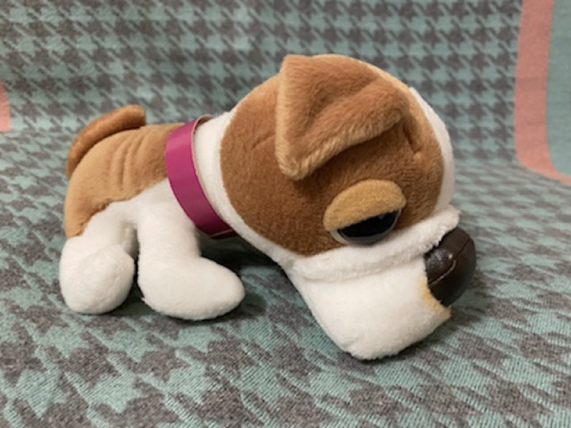 日本帶回大頭狗小狗鬥牛犬法鬥臘腸狗巴哥狗玩偶英國鬥牛犬the Dog 早期 蝦皮購物