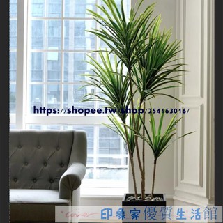 仿真植物 落地盆景植物 假植物 室內模擬盆栽 仿真植物綠植龍血樹景觀裝飾樹假花樹大型落地盆栽模擬樹廠家直銷