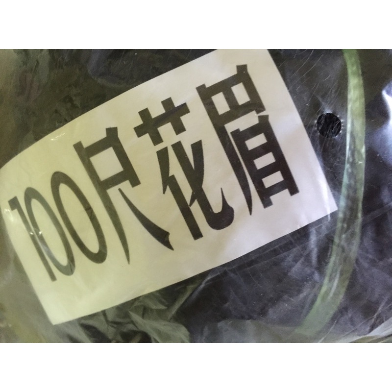 畫眉鳥大小，防鳥網【曾幸福 漁網 釣具】水果網 防鳥網 防蛇網 花味網 100尺-60尺-50尺