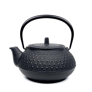 IWACHU 巖鑄 日本鑄鐵壺南部鐵器 新龜甲 5型鐵壺兼用急須0.65L 福介商店